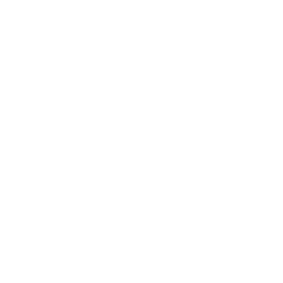 New York Yankees